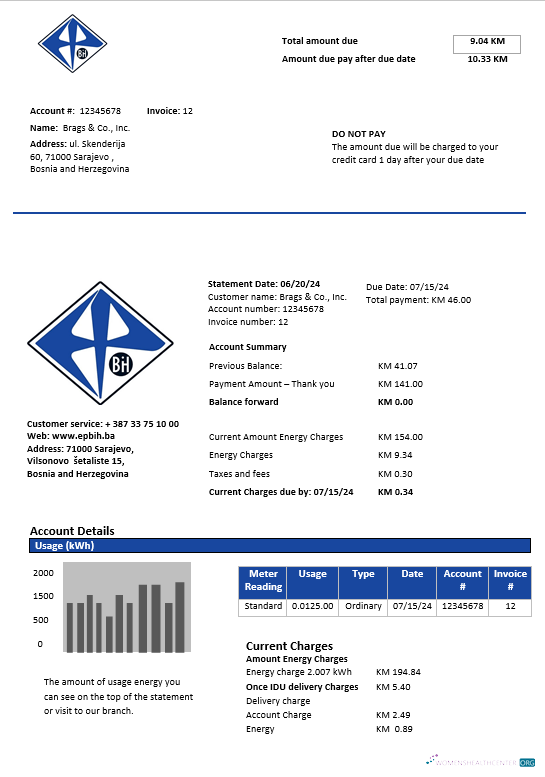 Bosnia and Herzegovina Elektroprivreda BiH electricity business utility bill template in Word and PDF